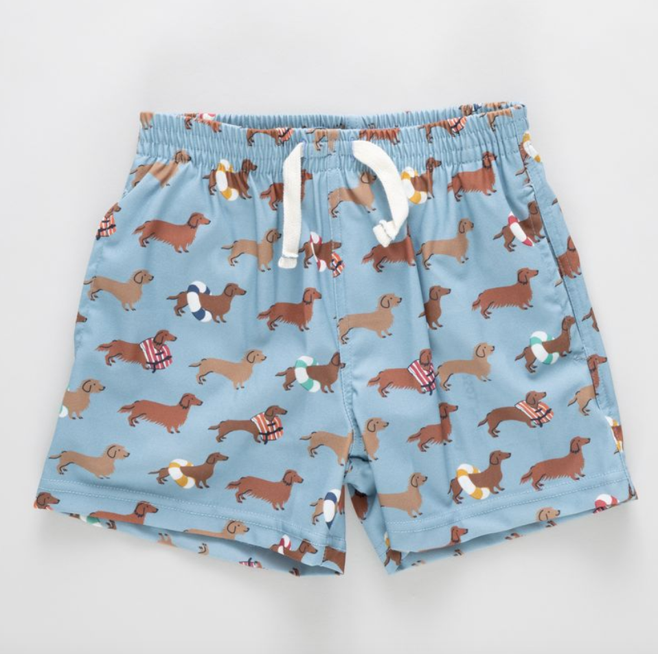 Baby Boys Swim Trunks, Swim Dachshunds