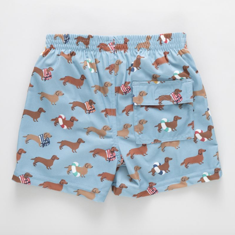 Boys Swim Trunk, Swim Dachshunds