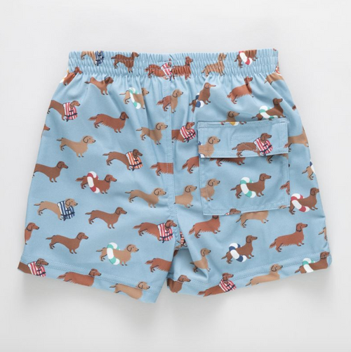 Boys Swim Trunk, Swim Dachshunds
