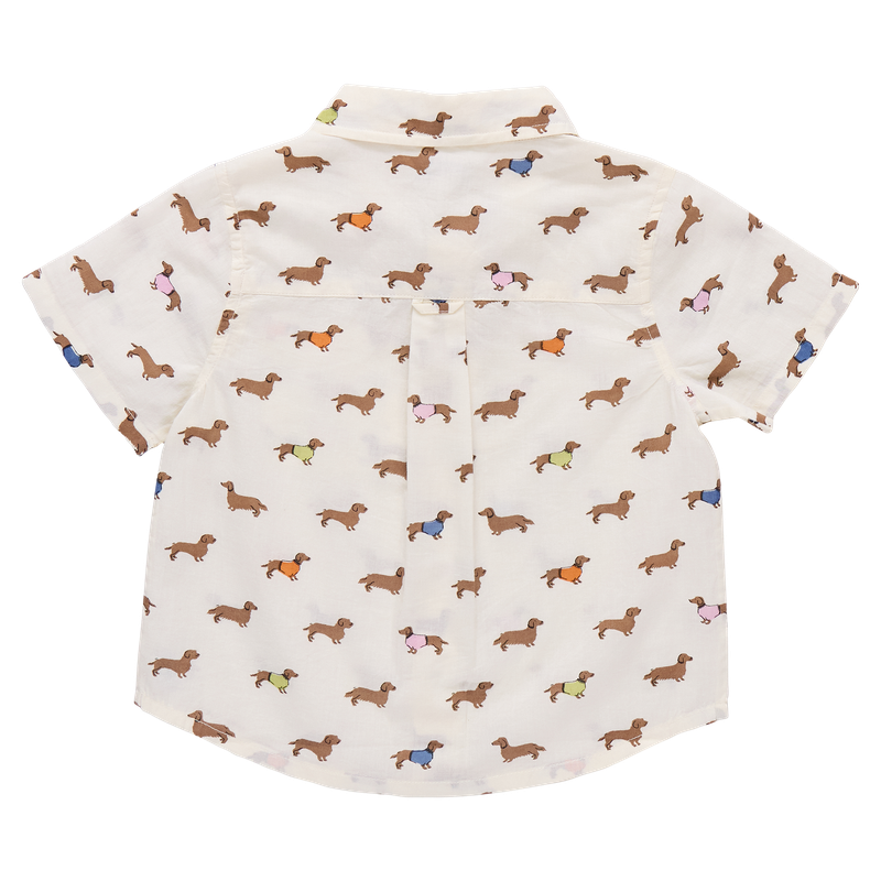 Boys Jack Shirt, Dachshunds in Sweaters