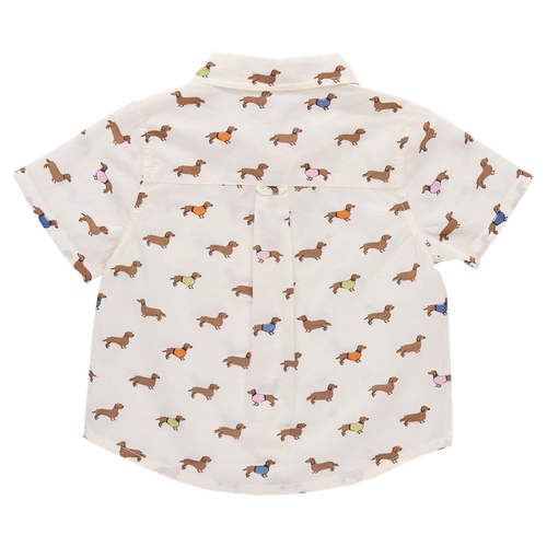 Boys Jack Shirt, Dachshunds in Sweaters