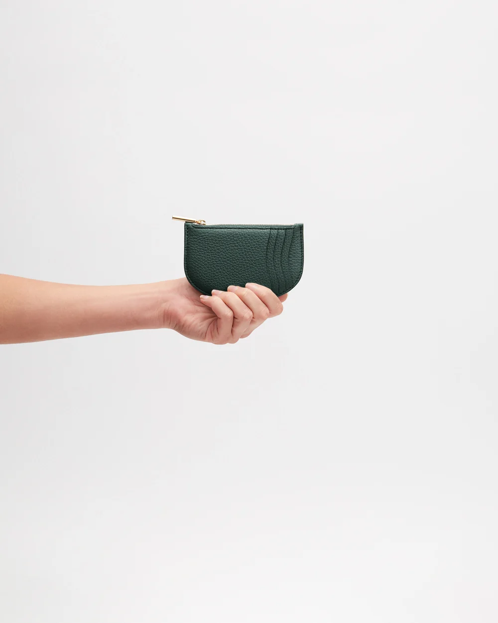 Cardholder, Forest