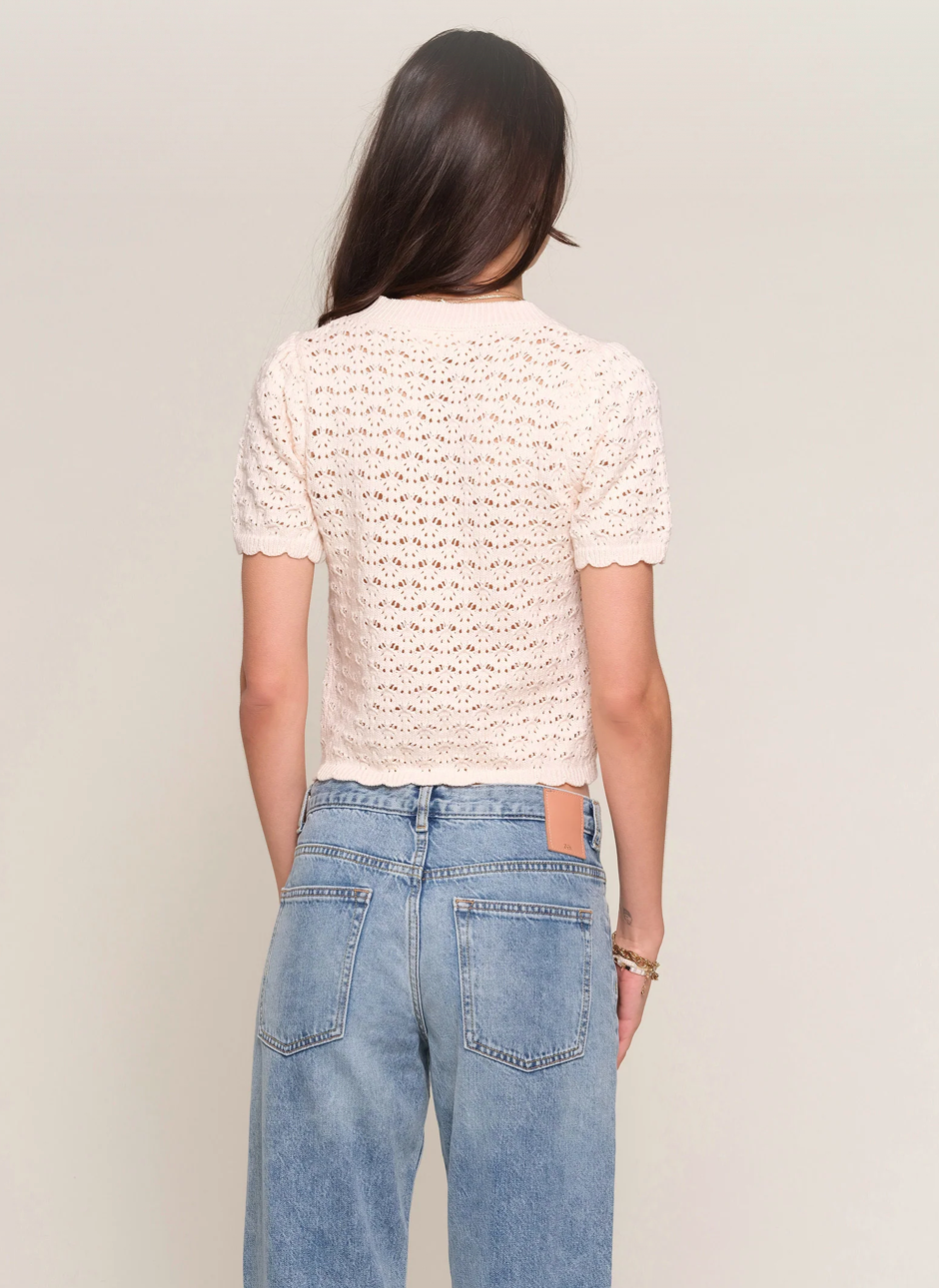 Clarina Cardi, Ivory