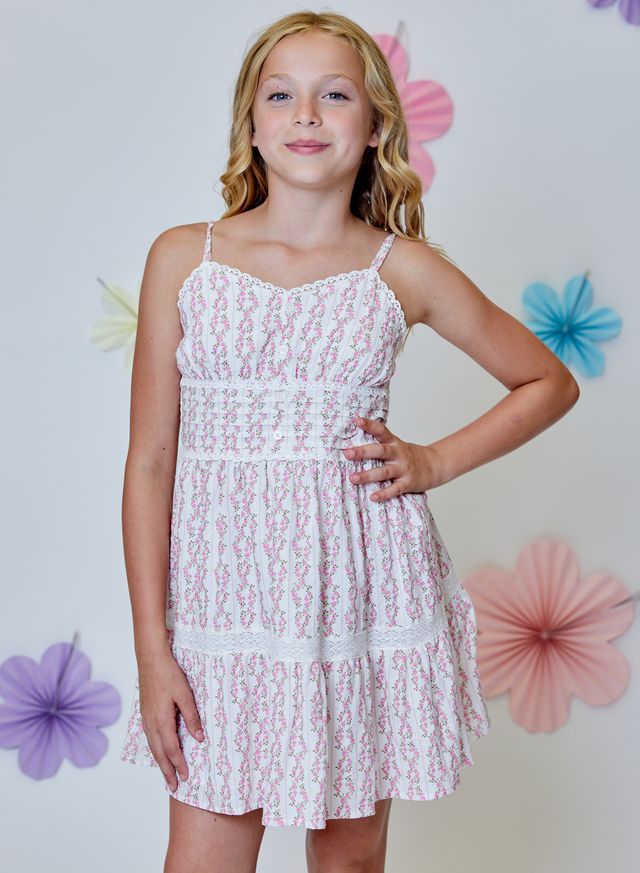 Berry Ice Dress