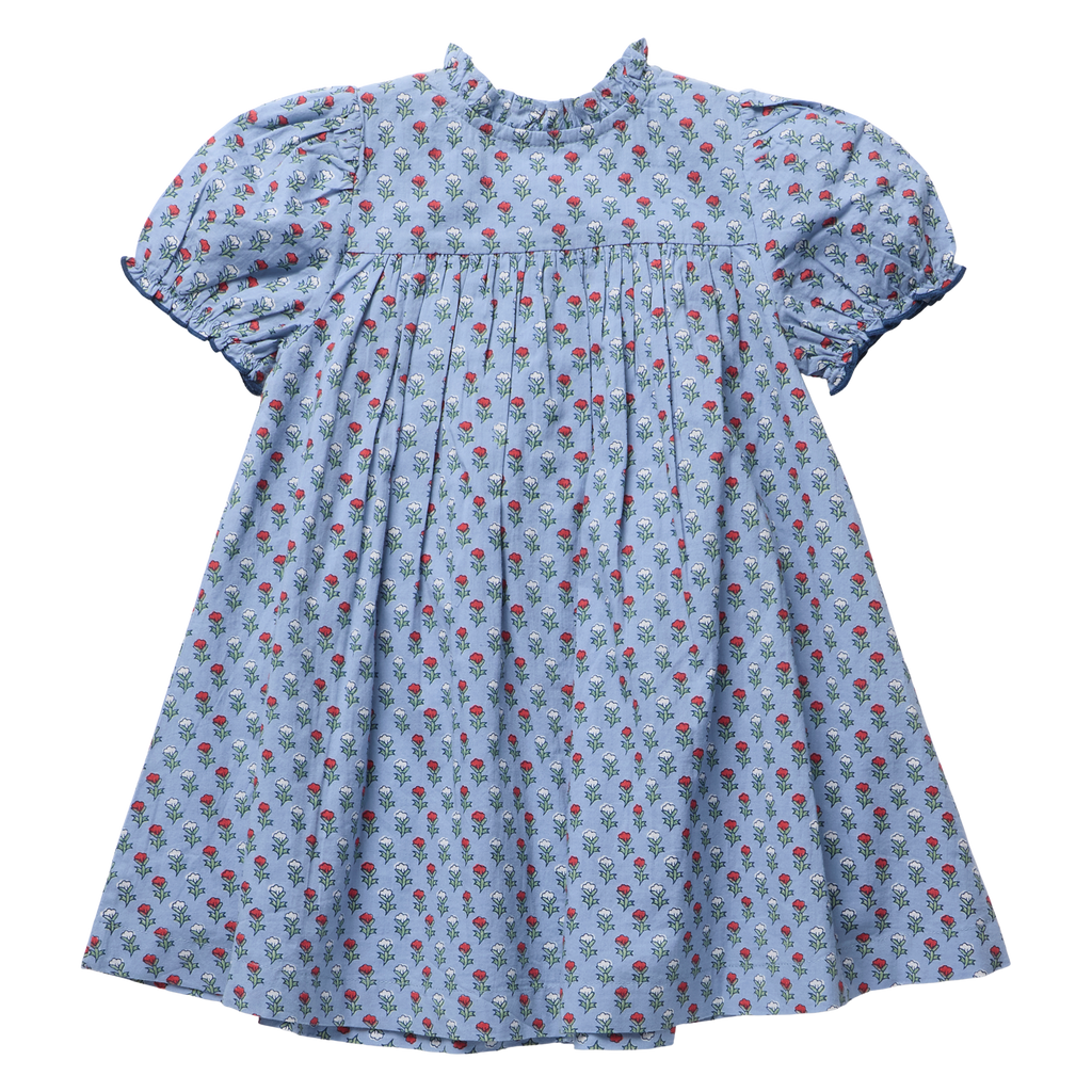 Girls Lucia Dress, Light Blue Carnation